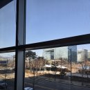 오늘도 샐러드 | 판교데이트 파스타맛집 라디오베이 오늘의 파스타 콥샐러드 후기