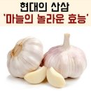 삶은 마늘의 놀라운 효능 이미지