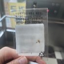 서울삼성본치과의원 네이버블로그