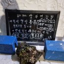 위미가 연 이미지