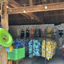 [남부] 영어회화 초급 이미지