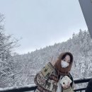 12月로 돌아가고싶다면…
