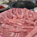 참토우 이미지