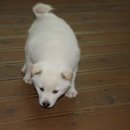 사옥농장 이미지