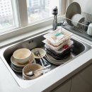 양산동물약국 | 경남 방역 오피스텔 바퀴벌레 퇴치 후기