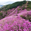 천주산 만남의 광장 이미지