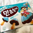 민트인사이트 이미지