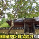 면장군 이미지