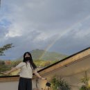 포레드노드 이미지