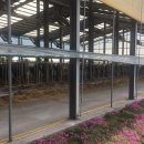 개선농장 이미지