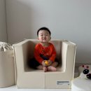 쥬다르 키즈 쇼파, 시즈시즈 북카트, 시즈시즈 높이조절테이블