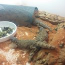 송권농장 이미지