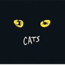 대순진리회 - 캣츠 CATS 이미지