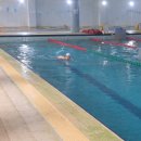 (성인) 캘리그라피 2급 자격과정 | 수영일기 3. 수상구조사 2급 특례시험 접수 완료 시험 내용과 준비 과정 정리