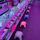 모모스테이션 홍대점 이미지