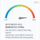 우리들의 꿈들 | 👶임신 29주차 입체초음파 후기, 드디어 우리 꿈이 얼굴 영접! 도치맘 주의🚨