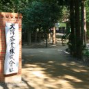 대한다원 이미지