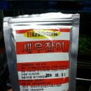 Bizidduk 이미지