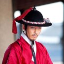 뿌리깊은 나무 이미지