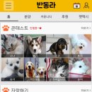 행복한상상헤어샾 | 강아지 분양 어플 추천 Best 8 (전국 애견 분양 및 입양 앱)