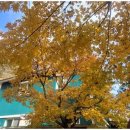 꽃피는산골민박 이미지