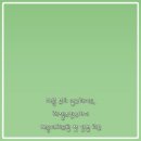 레젤스킨 & 바디