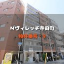 테라다초