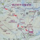 백양메디칼센터 Daum카페