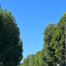 태강릉 입구 이미지