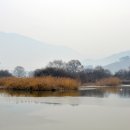 IPA갤러리 Daum카페