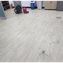 팜스플랜동물병원(출장전문) | 아산청소업체 으뜸클린 새집처럼 산뜻하게 아산청소용역