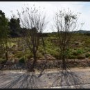 소소리 마을회관 이미지