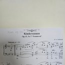 트로이메라이 연주회 이미지