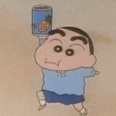 서울갈매기