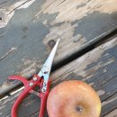 아리바우농장 이미지