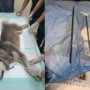 천지동물병원 이미지