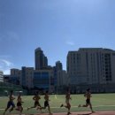 Team Shark 이미지