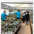 김덕수농장 이미지