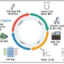 합성생물학의 최신 연구 동향 이미지