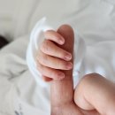[육아일기] 내 손가락을 잡은 아기와 입이 근질거리기 시작한 아빠의 하루
