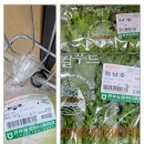 정리수납 테라피 이미지