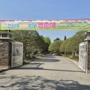청주 청남대 영춘제 (2026.04.25) 이미지