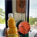 제주갈치한담 이미지