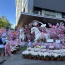 나트랑 롯데마트 골드코스트 쇼핑 리스트 및 배달 어플 꿀팁