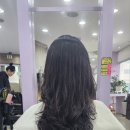 차영규헤어리베 이미지