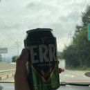 알파목장 | 평창 산너미목장 캠핑