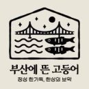 부산에 뜬 고등어 이미지