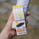 양산 | 다이소 양산 우산 내돈내산 다이소 양산 후기