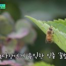 한국양봉농협 동물병원 이미지