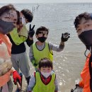 인천 영종도 마시안 갯벌체험 다녀온 후기